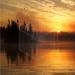 Descargar Nature Illusion Screensaver para Windows Descargar Nature Illusion Screensaver para Windows