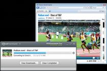 Captura principal de RealPlayer Downloader