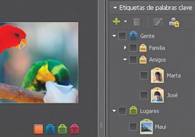 Screenshot Adobe Photoshop Elements