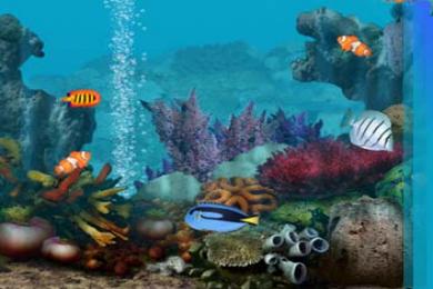 Capture Living Marine Aquarium Salvapantallas