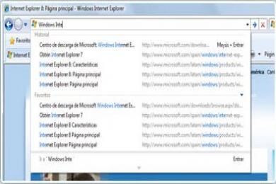 Screenshot Internet Explorer