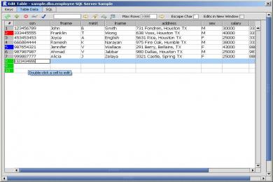 Screenshot Razor SQL