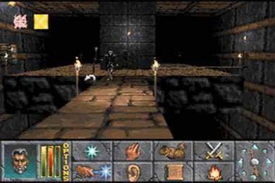 Capture The Elder Scrolls II: Daggerfall