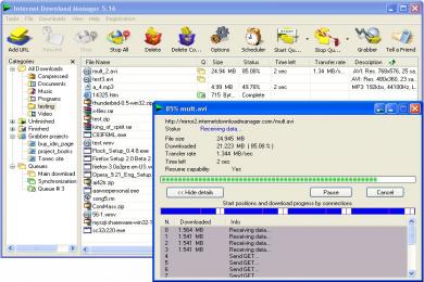 Screenshot Internet Download Manager