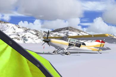 Screenshot Flight Simulator X
