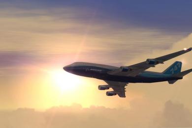Screenshot Flight Simulator X