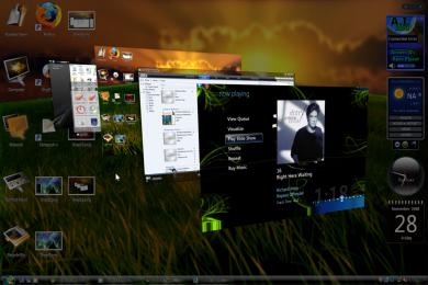Screenshot Adobe Shockwave Player