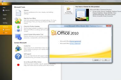 Screenshot Microsoft Office 2010 Professional