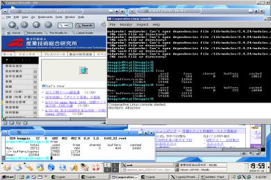 Screenshot Cooperative Linux