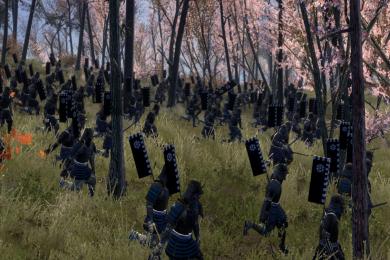 Screenshot Shogun 2: Total War