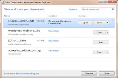 Screenshot Internet Explorer 9