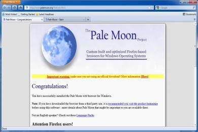 Screenshot Pale Moon Portable
