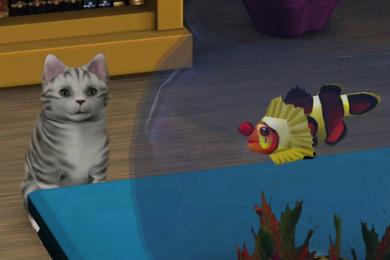 Screenshot Die Sims 3: Einfach tierisch