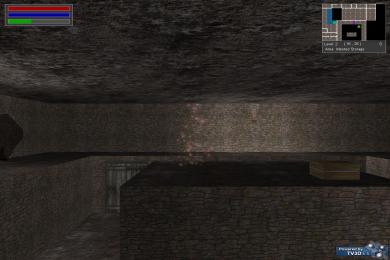 Screenshot DarkLight Dungeon