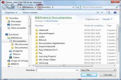 Screenshot File Repair