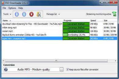 Screenshot VSO Downloader