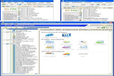 Captura Paessler Site Inspector