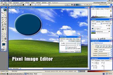 Screenshot Pixel Studio Professional