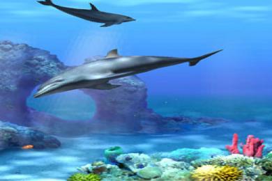 Capture Living 3D Dolphins ScreenSaver
