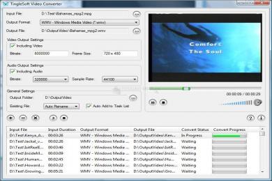 Captura TingleSoft Video Converter