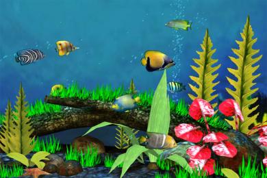 Screenshot Fish Aquarium 3D Screensaver