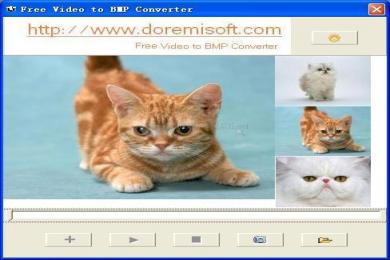 Captura Doremisoft Video to BMP Converter