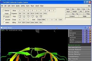 Captura PyMOL