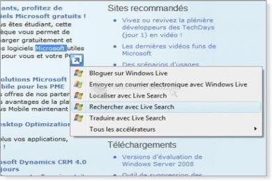 Captura Internet Explorer Français Vista