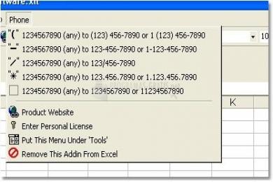 Captura Excel Phone Number Format