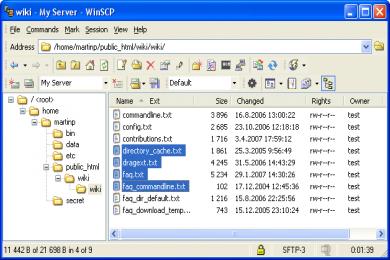 Screenshot WinSCP