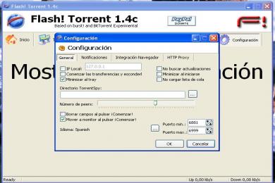 Screenshot Flash Torrent