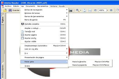 Screenshot Adobe Reader X