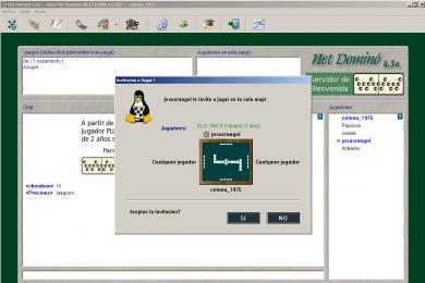Screenshot Net Domino