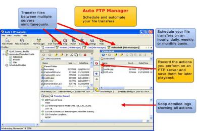 Captura Auto FTP Manager