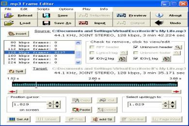 Captura MP3 Frame Editor