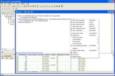 Screenshot SQL Assistant