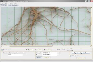 Captura GSA Image Analyser