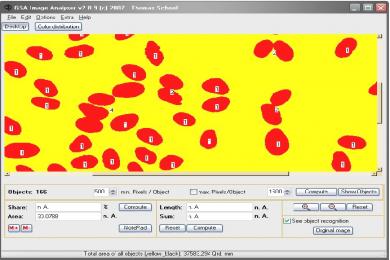 Captura GSA Image Analyser