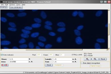 Captura GSA Image Analyser