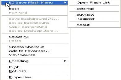 Captura EZ Save Flash