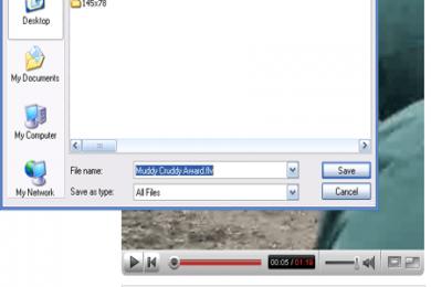 Screenshot Fast Video Download