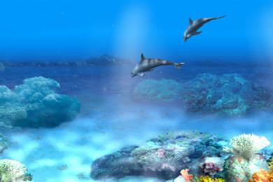 Capture Free Living 3D Dolphins Animated Fondo