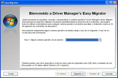 Screenshot Driver Manager
