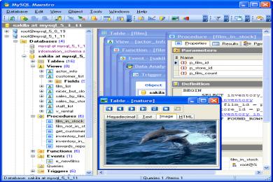 Cattura MySQL Maestro