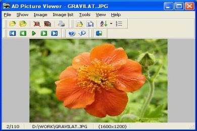 Cattura AD Picture Viewer