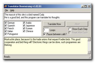 Screenshot Google Translator Boomerang