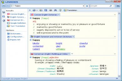 Screenshot Lingoes Translator