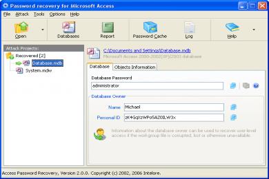 Screenshot Access Password Recovery
