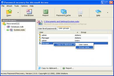 Screenshot Access Password Recovery