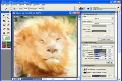 Cattura Corel Painter Essentials